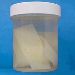 Tissue patch in jar/container as presented